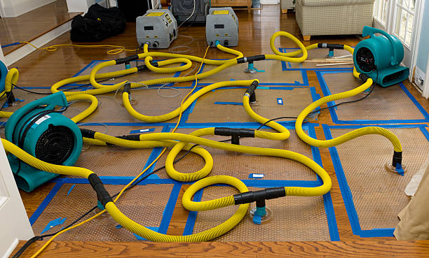 Professional Water Damage Restoration technician working in Orting, WA